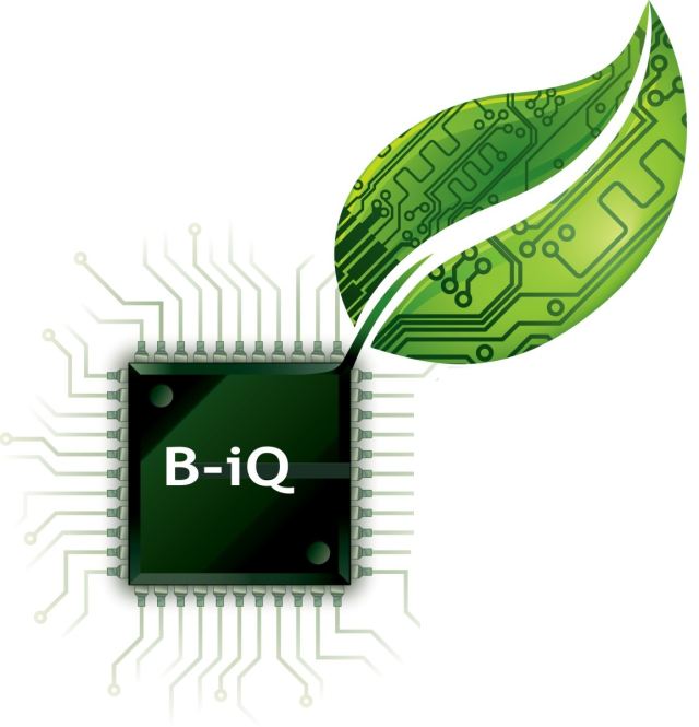 Ubulumko Technology Solutions